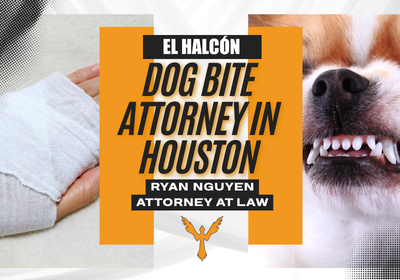 Dog Bite Attorney in Houston, TX | Free Personal Injury Consults