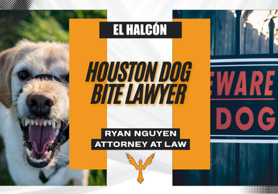 Houston Dog Bite Lawyer | Free Personal Injury Consultation