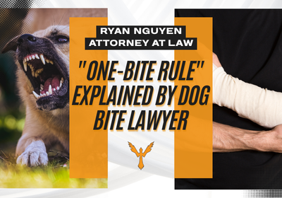 Dog Bite Attorney in Humble, TX | Free Peronsal Injury Consults